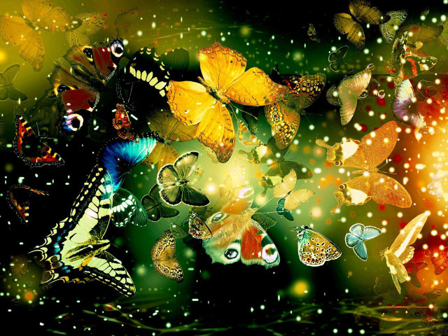 Butterflies flying water grass bright free wallpaper for desktop - medium preview image