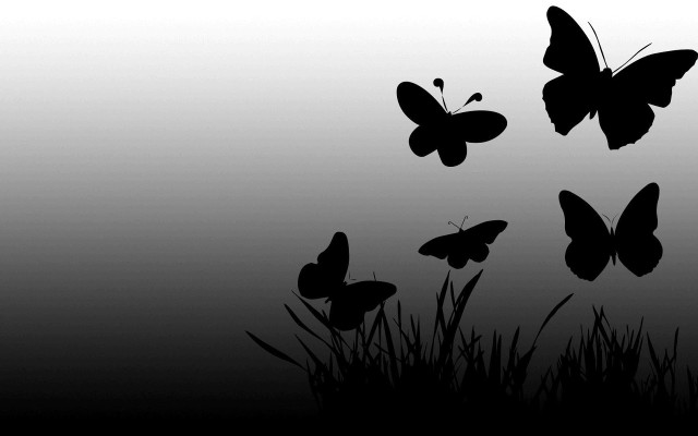 Butterflies flying grass field tall free wallpaper for desktop - medium preview image