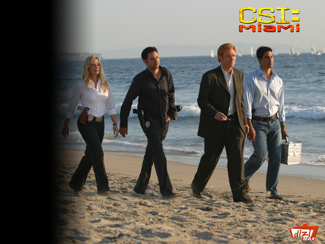 Beach group people ocean csil free wallpaper for desktop - medium preview image