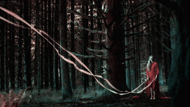Woman red dress forest blood free wallpaper for desktop - medium preview image