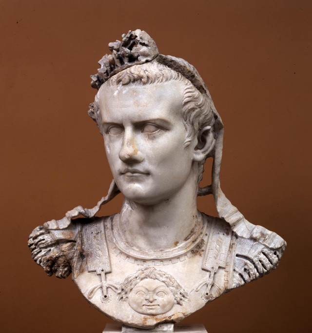 Bust man crown brown background free wallpaper for tablet - medium preview image