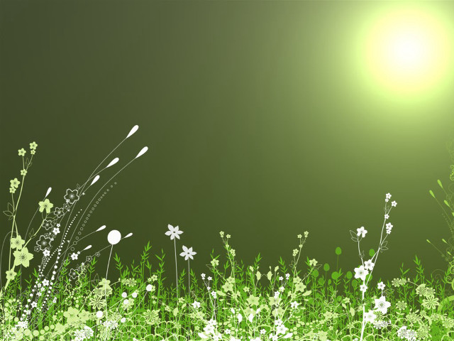 Green white flowery field bright free wallpaper for desktop - medium preview image