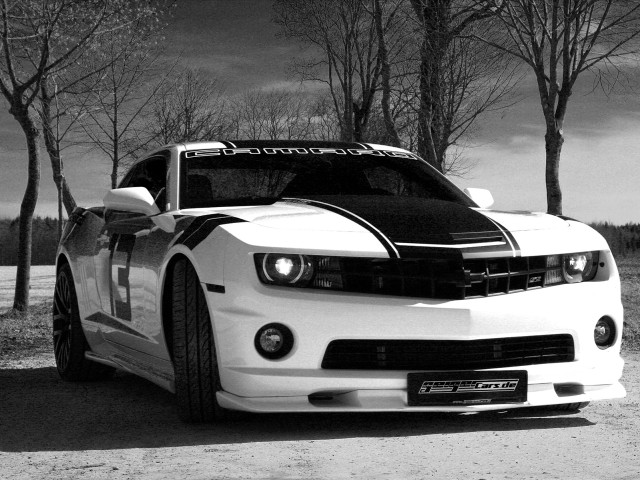 White car black stripe driveway free wallpaper for desktop - medium preview image