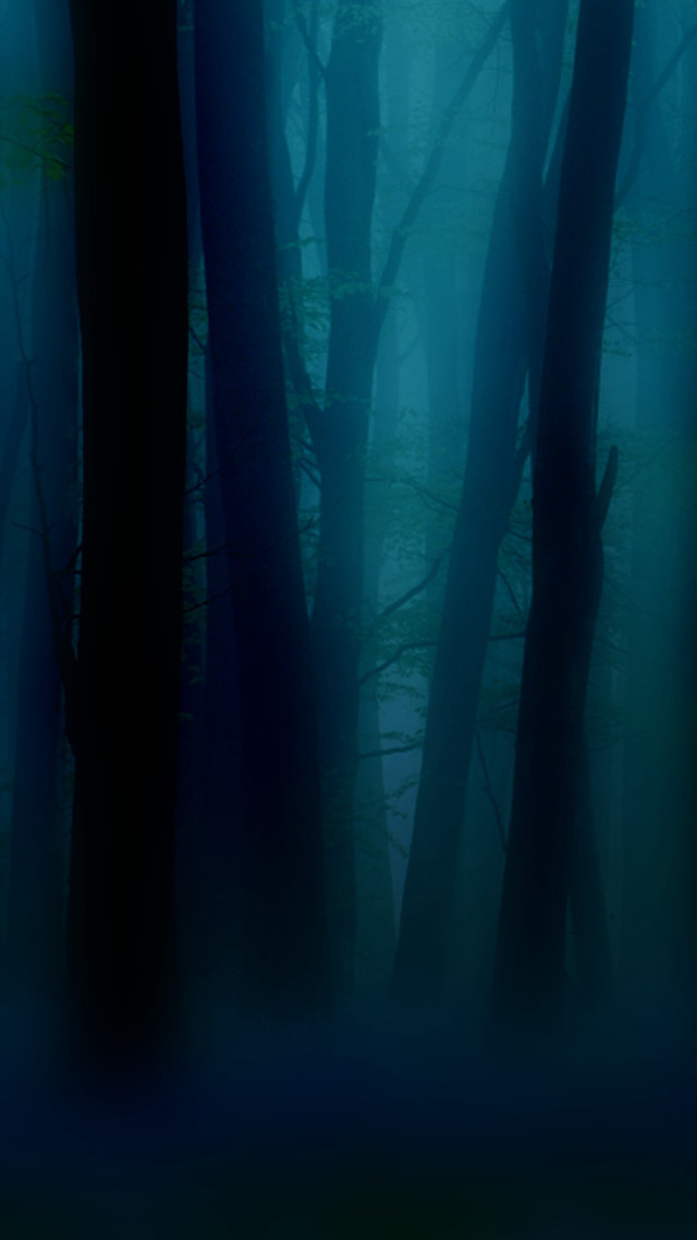 Dark forest foggy night trees free wallpaper for mobile - medium preview image