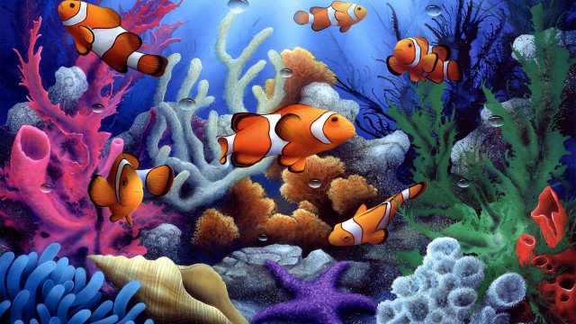 Clown fish coral reef seaweed #3 free wallpaper for desktop - medium preview image