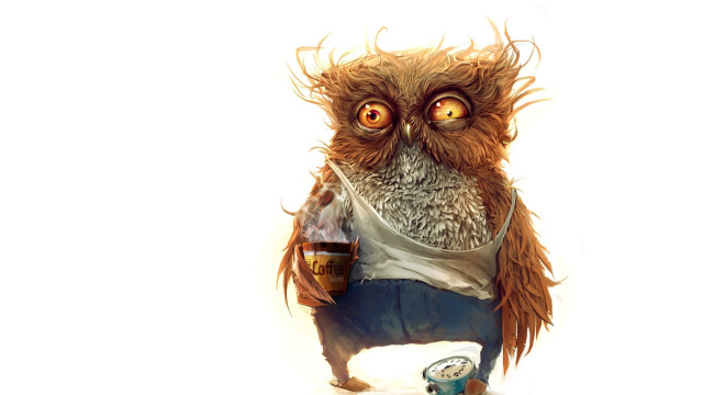 Owl beer holding cans fun free wallpaper for desktop - medium preview image