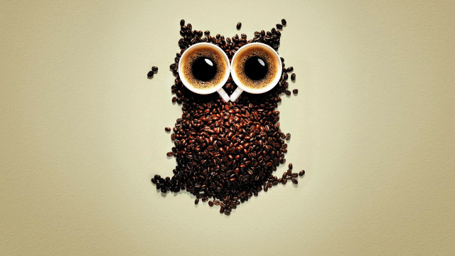 Coffee owl coffee beans shadow free wallpaper for desktop - medium preview image