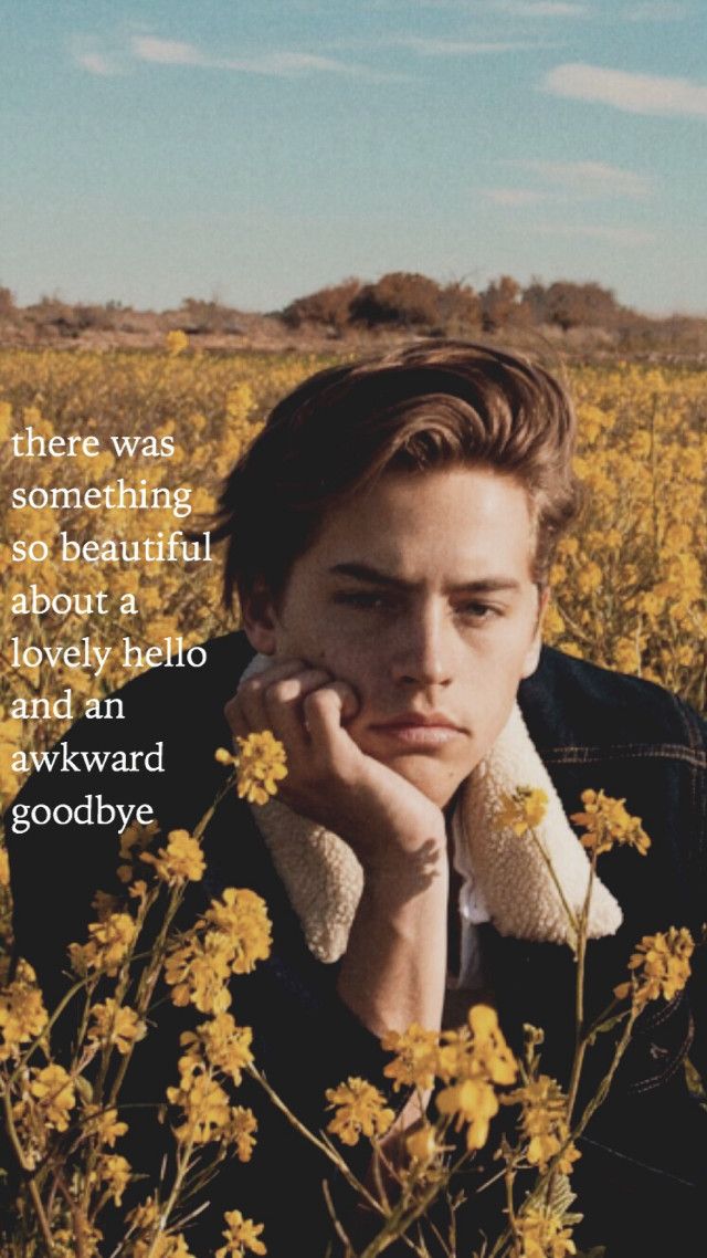 Man sitting flower field polaroid free wallpaper for mobile - medium preview image