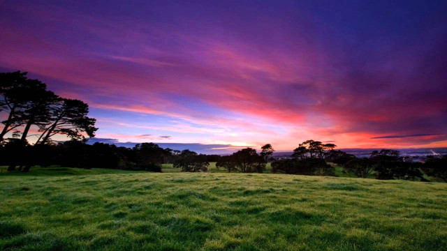 Field trees sunset clouds purple #2 free wallpaper for desktop - medium preview image