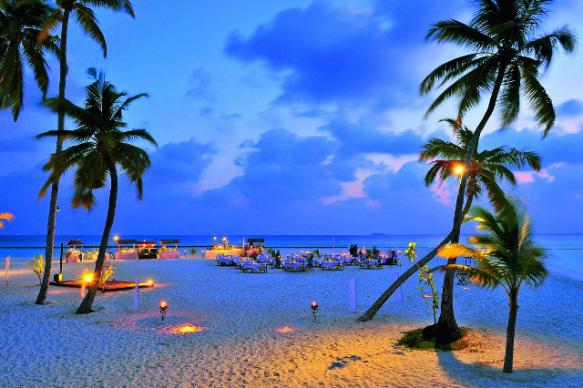 Beach palm trees people sitting free wallpaper for desktop - medium preview image