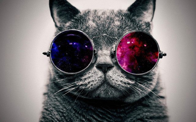 Cat glasses space theme space free wallpaper for desktop - medium preview image