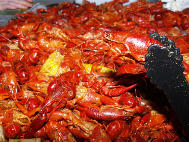 Cooked crawfish pile pan spatula free wallpaper for desktop - medium preview image