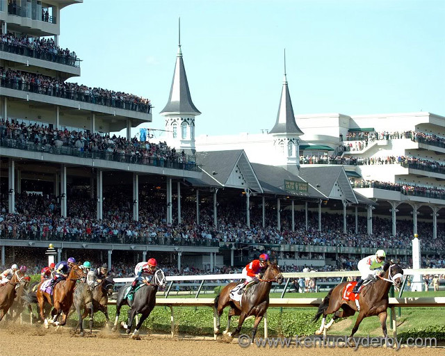 Horses racing track crowd stands free wallpaper for desktop - medium preview image
