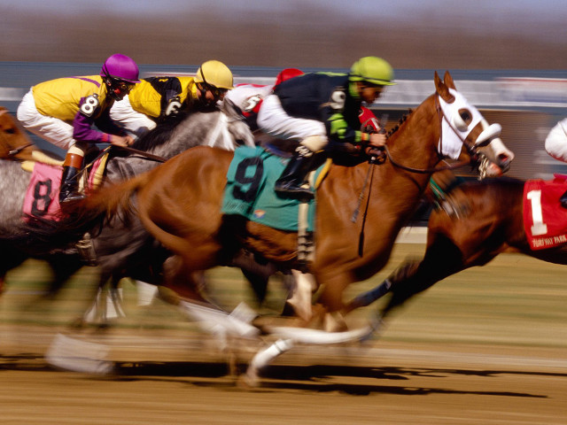 Horses racing track jockeys numbers #2 free wallpaper for desktop - medium preview image