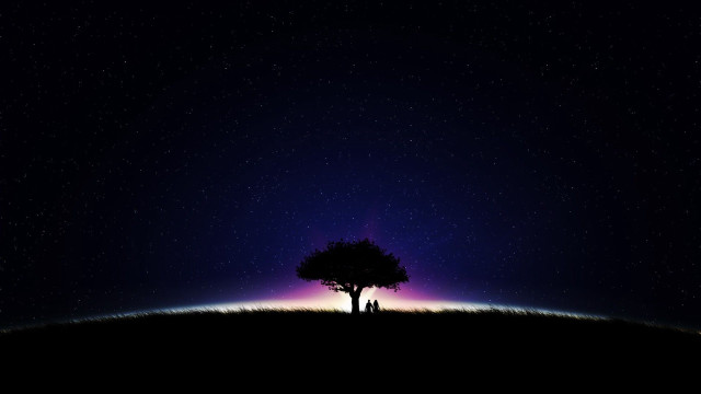 Tree field stars purple blue free wallpaper for desktop - medium preview image