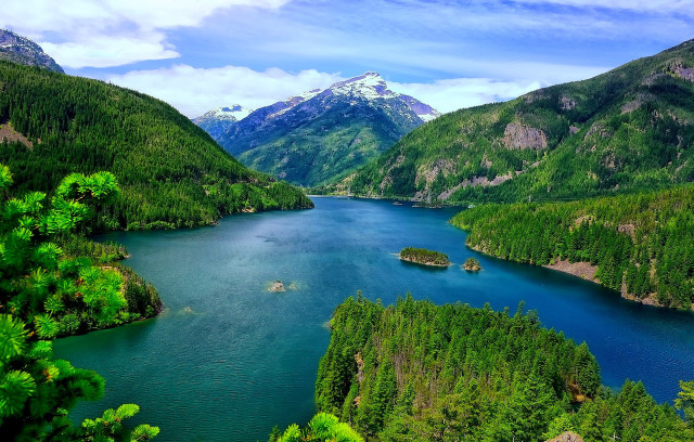 Lake mountains forest bridge water free wallpaper for desktop - medium preview image