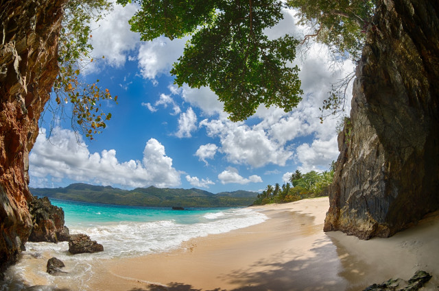 Beach tree water cliff rocks free wallpaper for desktop - medium preview image