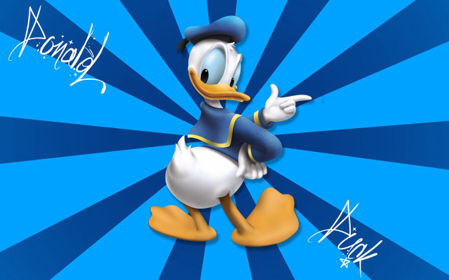 Cartoon duck hat blue background #5 free wallpaper for desktop - medium preview image