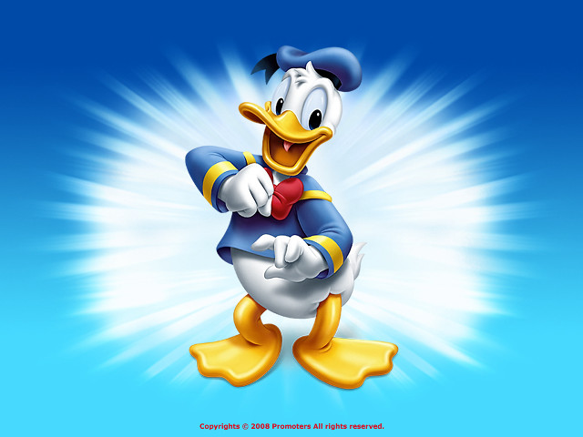 Cartoon duck with hat and free wallpaper for desktop - medium preview image