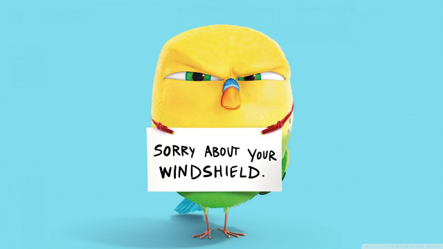 Bird sorry sign shield verdadism free wallpaper for desktop - medium preview image