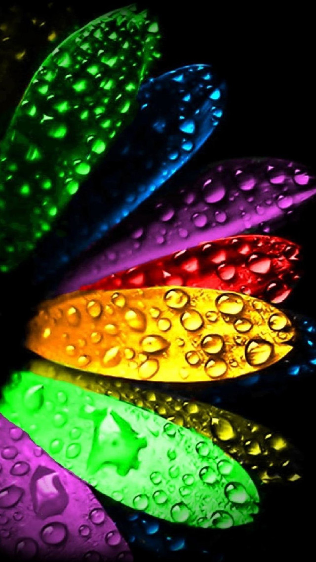 Colorful flower water droplets black free wallpaper for mobile - medium preview image