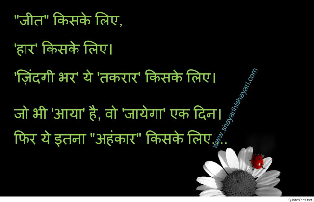 Flower quote in middle of free wallpaper for desktop - medium preview image