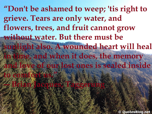 Augustus vincent tack mountain emotional free wallpaper for desktop - medium preview image