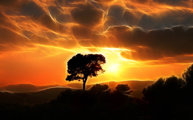 Tree silhouette sunset sky clouds free wallpaper for desktop - medium preview image