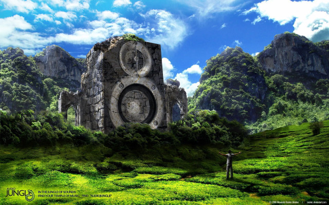 Man standing field giant stone free wallpaper for desktop - medium preview image