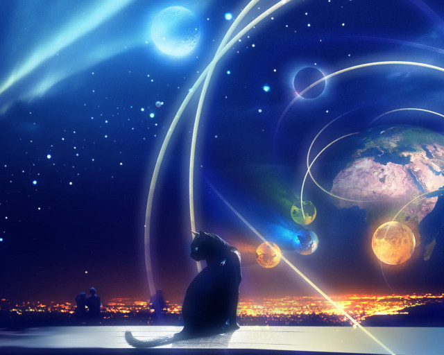 Cat sitting on ledge earth free wallpaper for desktop - medium preview image