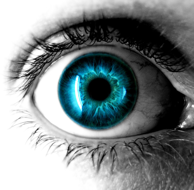 Blue eye iris black white free wallpaper for tablet - medium preview image