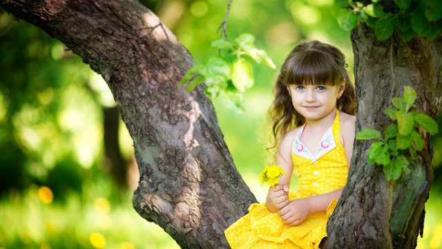 Little girl yellow dress tree free wallpaper for desktop - medium preview image