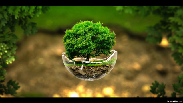 Tree glass vase inside another #3 free wallpaper for desktop - medium preview image