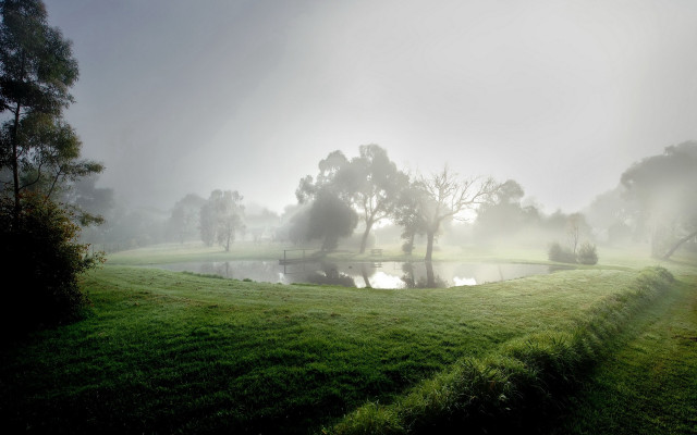 Foggy field pond trees distance free wallpaper for desktop - medium preview image