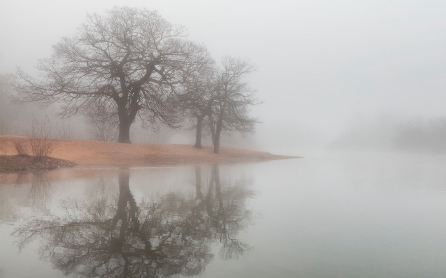 Foggy lake trees hill background free wallpaper for desktop - medium preview image