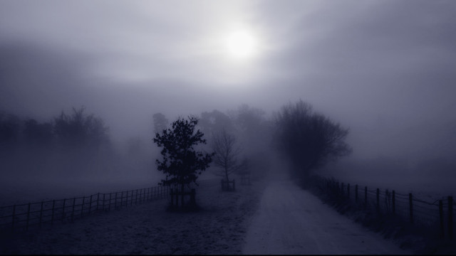 Foggy road tree fence sun free wallpaper for desktop - medium preview image