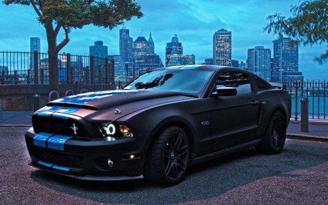 Black mustang blue stripe city #2 free wallpaper for desktop - medium preview image