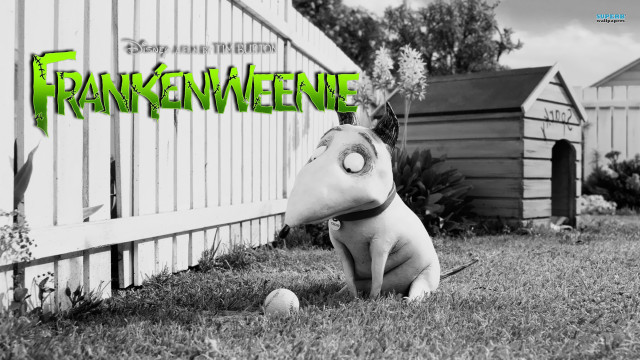 Dog mask grass fence doghouse free wallpaper for desktop - medium preview image