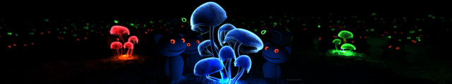Glowing mushrooms dark forest trees free wallpaper for desktop - medium preview image