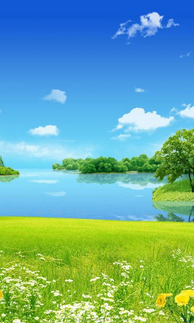 Green field lake flowers trees free wallpaper for mobile - medium preview image
