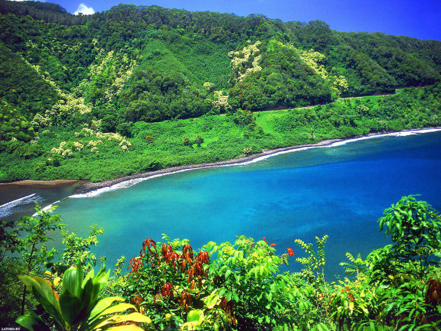 Fiji tropical ocean hills trees free wallpaper for desktop - medium preview image