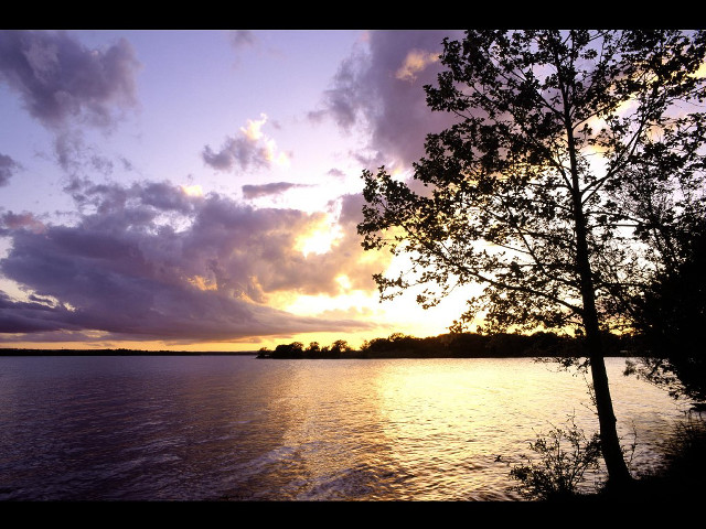 Sunset lake tree clouds sky free wallpaper for desktop - medium preview image