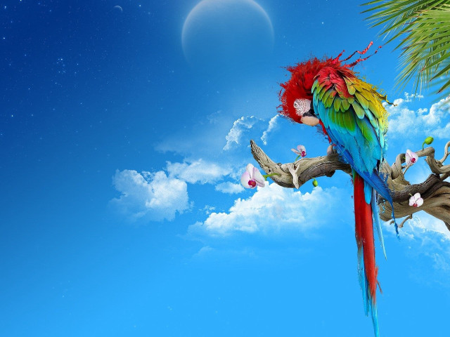 Colorful parrot perched branch moon free wallpaper for desktop - medium preview image