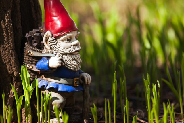 Gnome figurine tree grass red free wallpaper for desktop - medium preview image