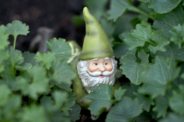 Gnome statue bush leaves plants free wallpaper for desktop - medium preview image