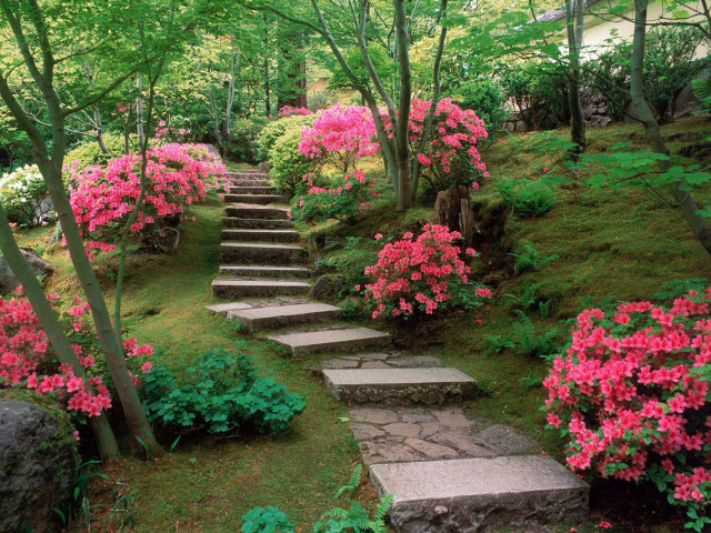Stone path steps pink flower free wallpaper for desktop - medium preview image