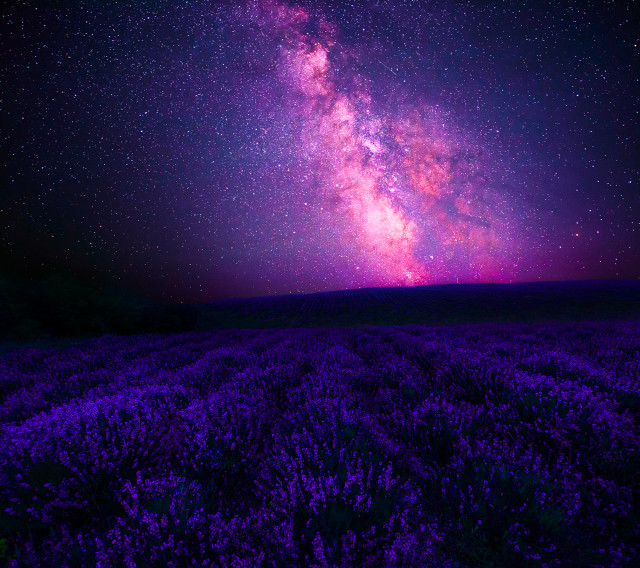 Purple flowers night sky stars #2 free wallpaper for tablet - medium preview image