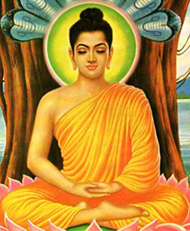 Buddha lotus tree blue butterfly free wallpaper for mobile - medium preview image