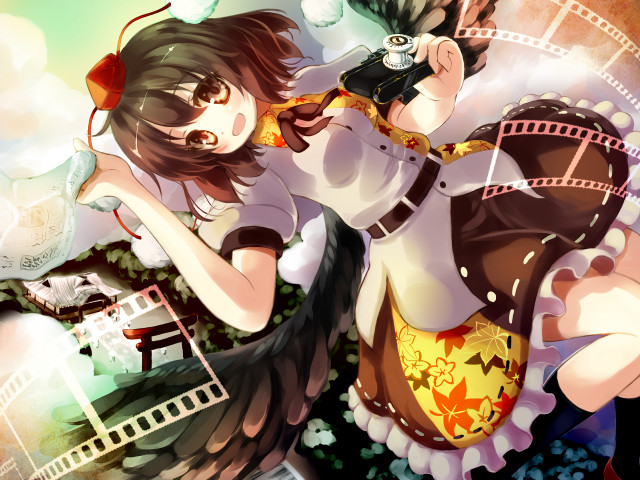 Woman short skirt camera video free wallpaper for desktop - medium preview image