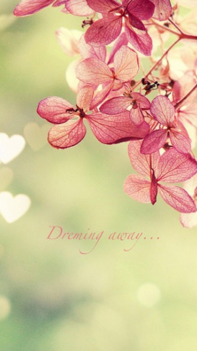 Pink flower hearts green background free wallpaper for mobile - medium preview image